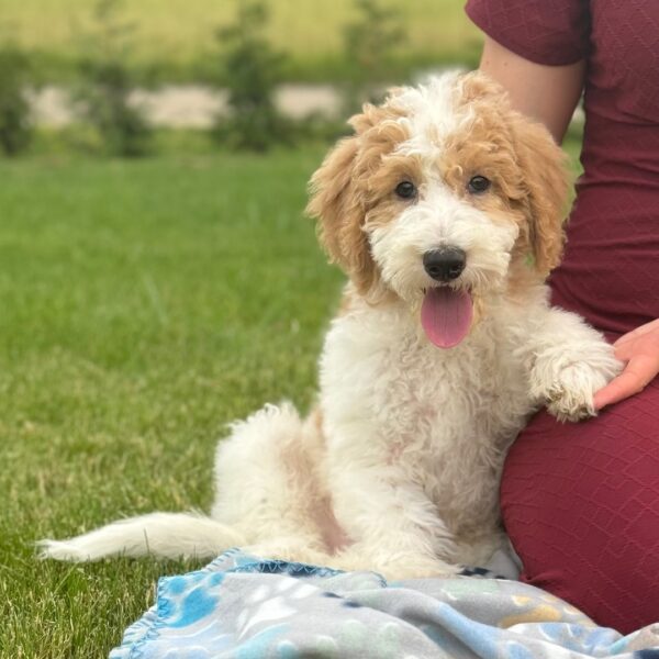 Tucker