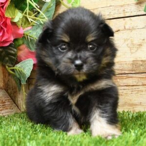 Lucy