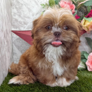 Rosie